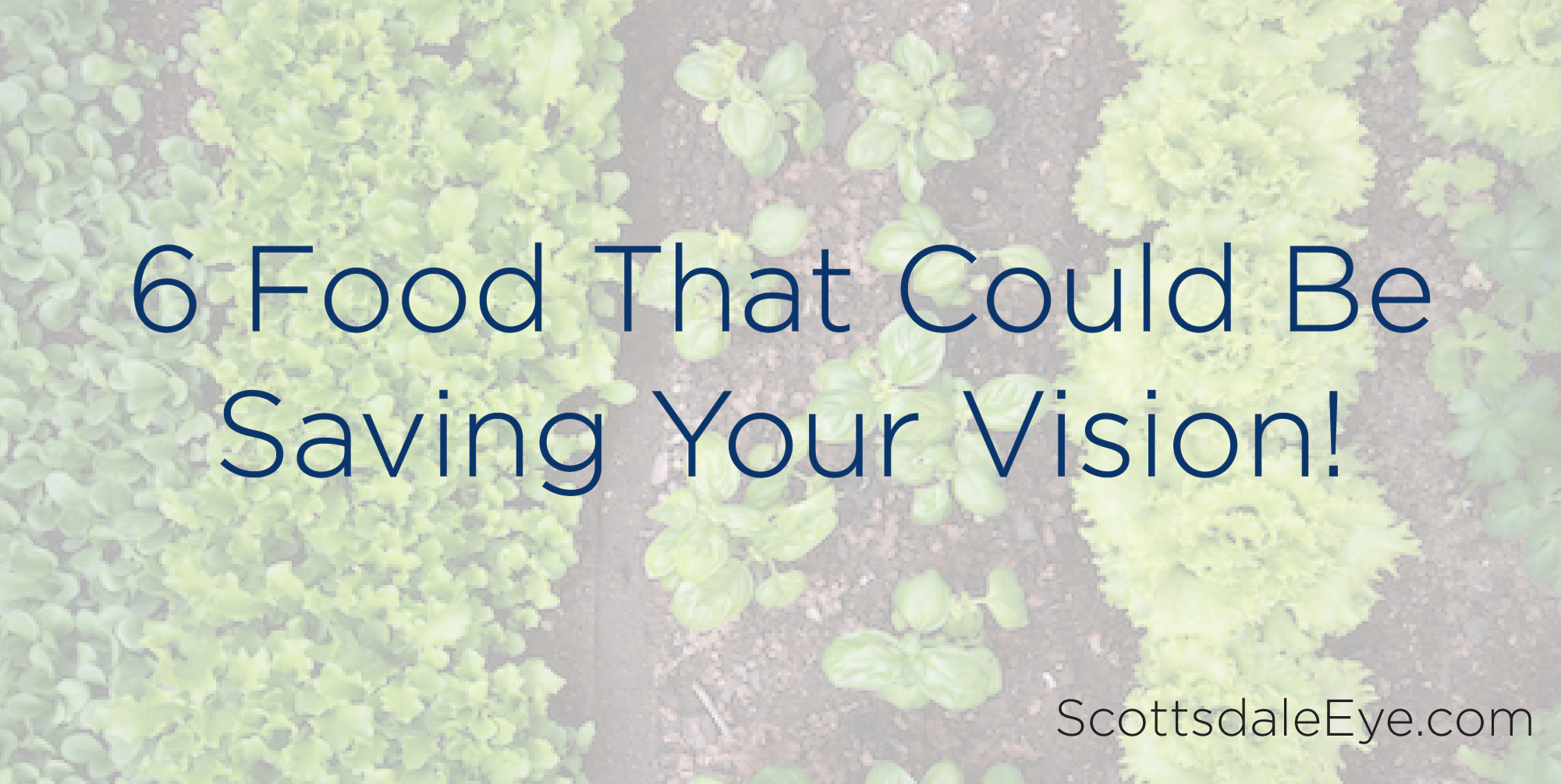 6 Foods That Could Be Saving Your Vision! post thumbnail image